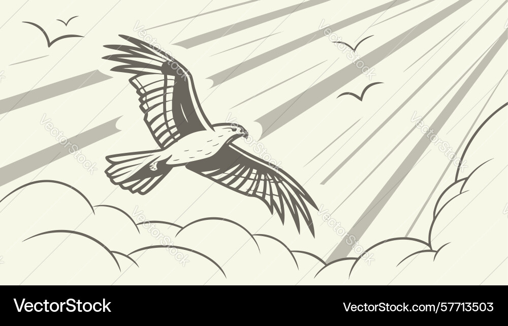 Majestic eagle soaring over open fields design vector image