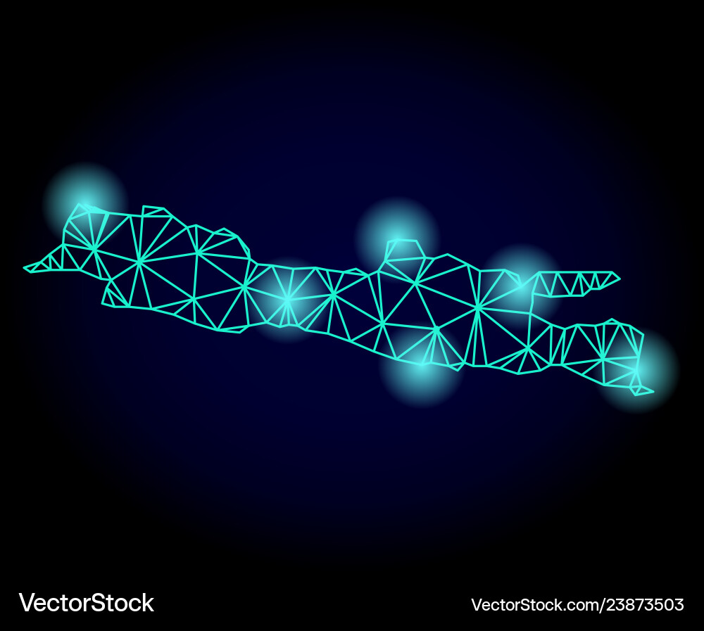 Polygonal wire frame mesh map java island Polygonal wire frame mesh map java island vector image