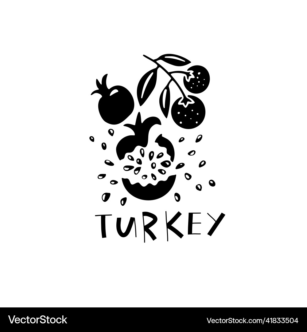 Hand drawn symbol of turkey travel republic Hand drawn symbol of turkey travel republic vector image