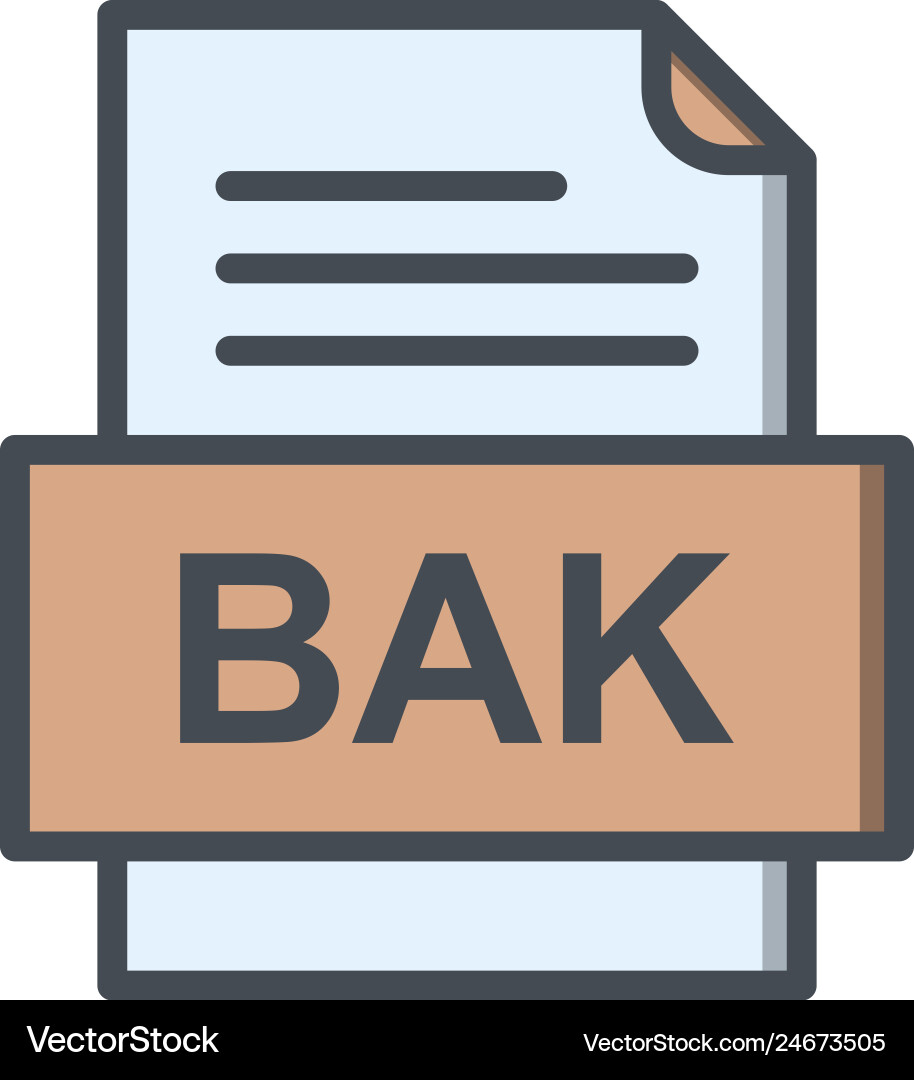 Bak file document icon Vector Image