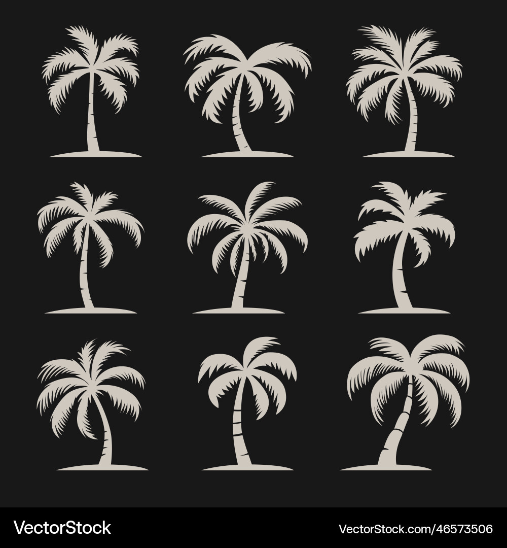 Palm trees tree icon set isolated Palm trees tree icon set isolated vector image