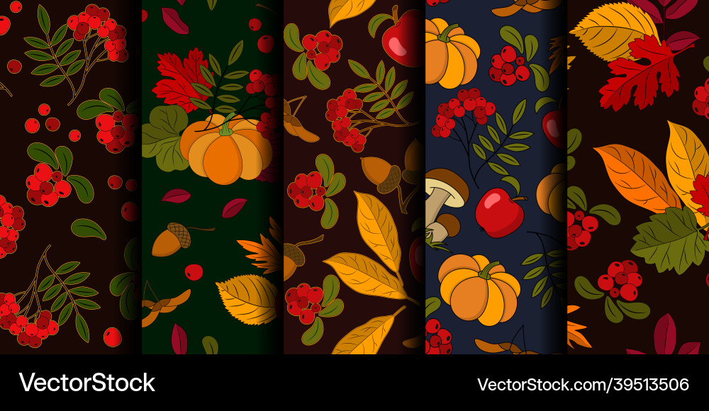 Set of seamless patterns with autumn elements Set of seamless patterns with autumn elements Vector Image
