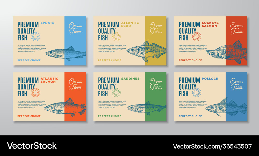 Fisch Etiketten setzen abstrakte Verpackung Design Fisch Etiketten setzen abstrakte Verpackung Design vektorbild