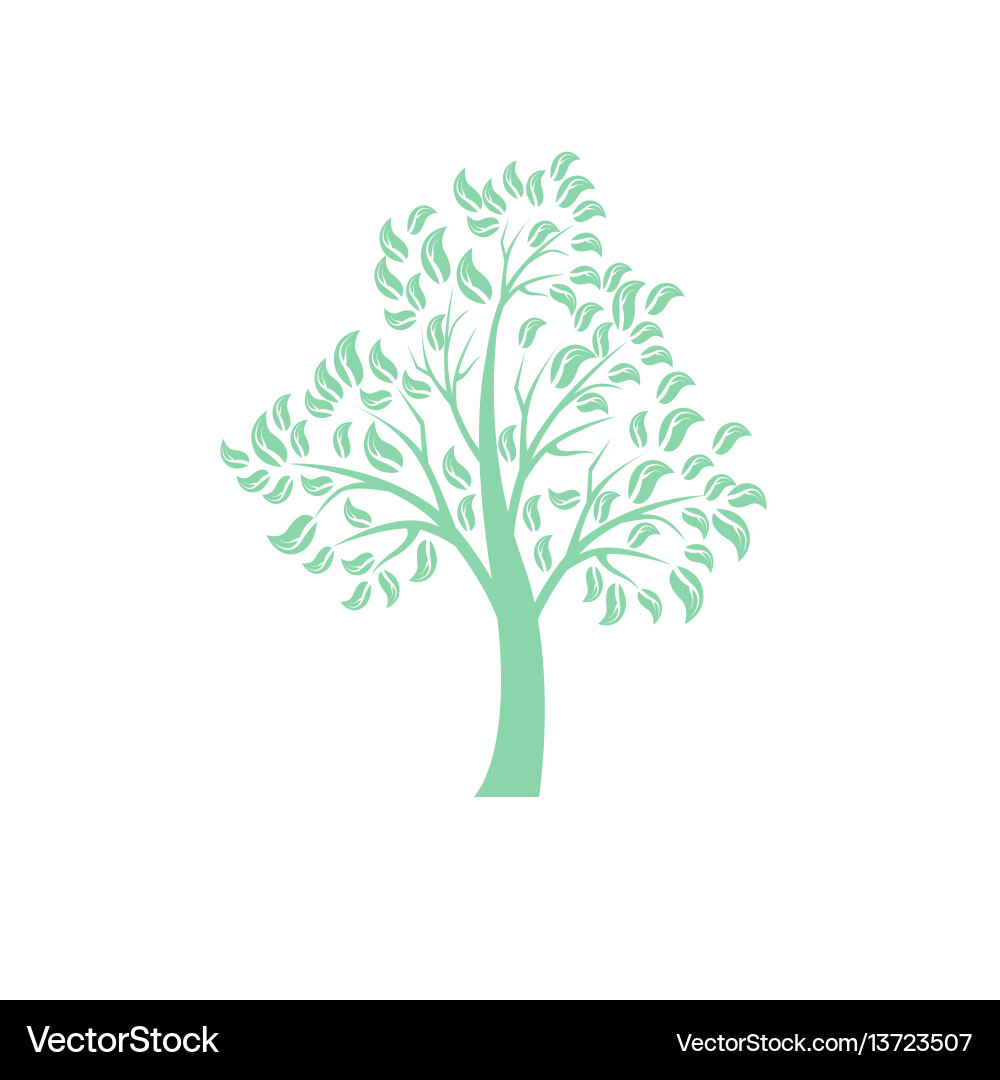 Tree Tree vector image
