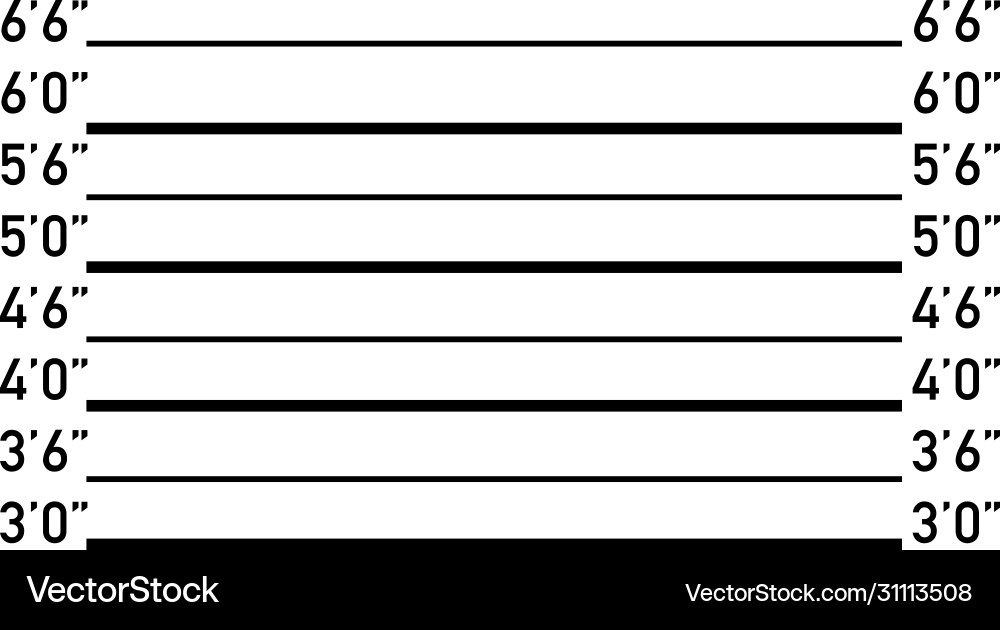 Mug shot frame for taking picture criminal Vector Image