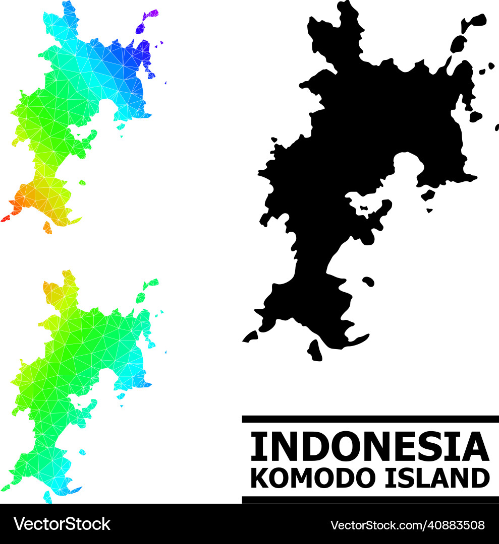 Triangle filled spectrum map of komodo island Triangle filled spectrum map of komodo island vector image