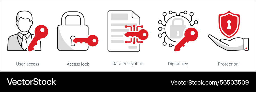 A set of 5 security icons as user access Vector Image