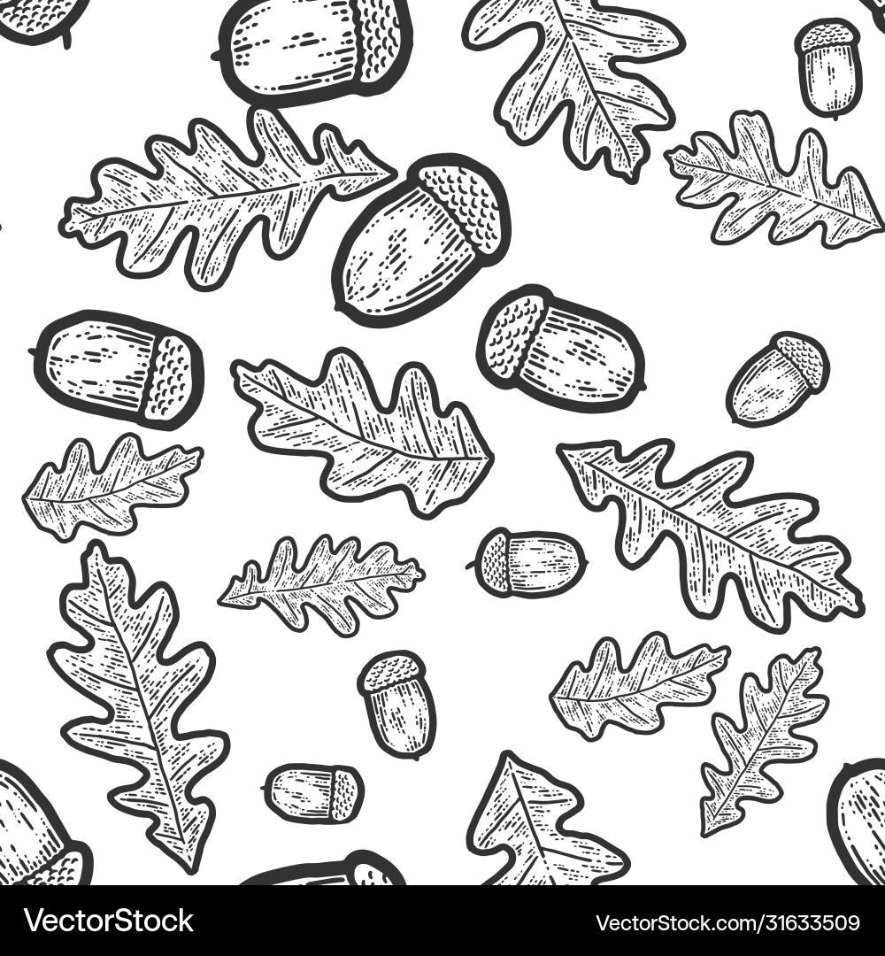 Acorn on an oak branch seamless pattern sketch Vector Image
