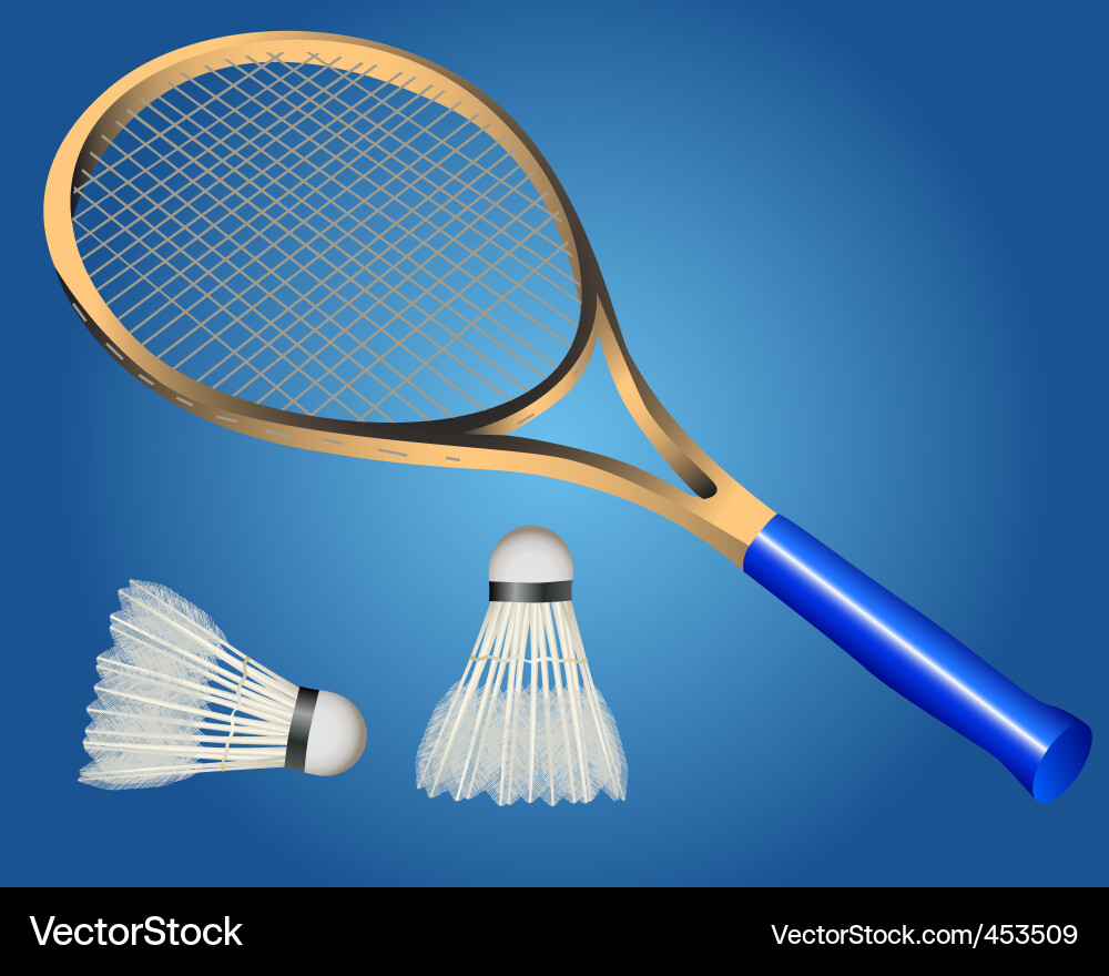 Badminton Racket with Shuttlecocks vector image