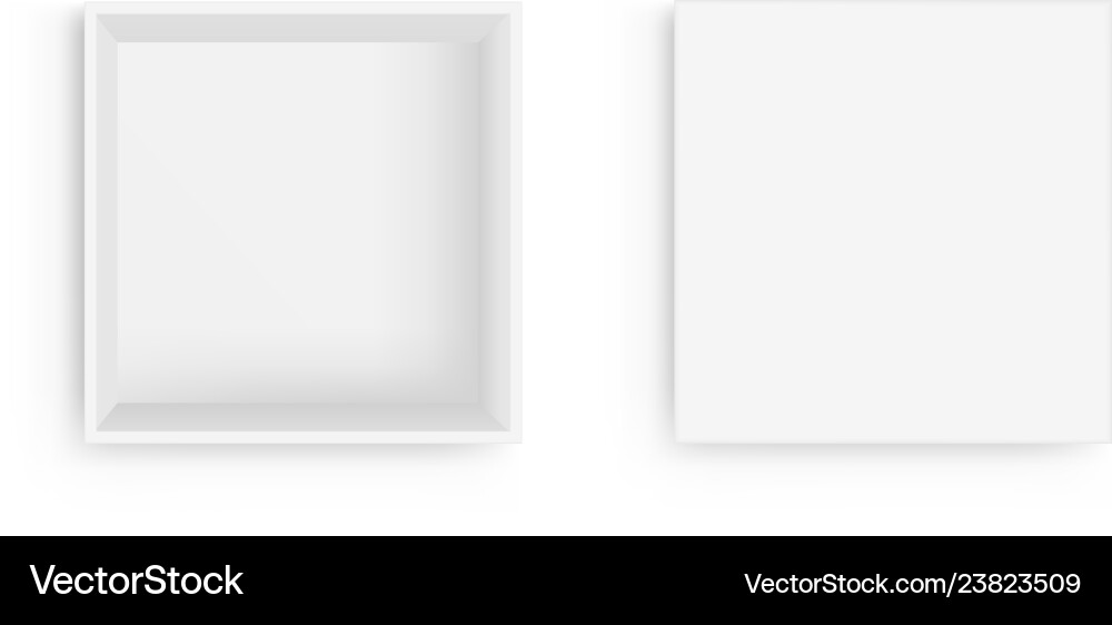 Empty square box with open lid isolated Vector Image