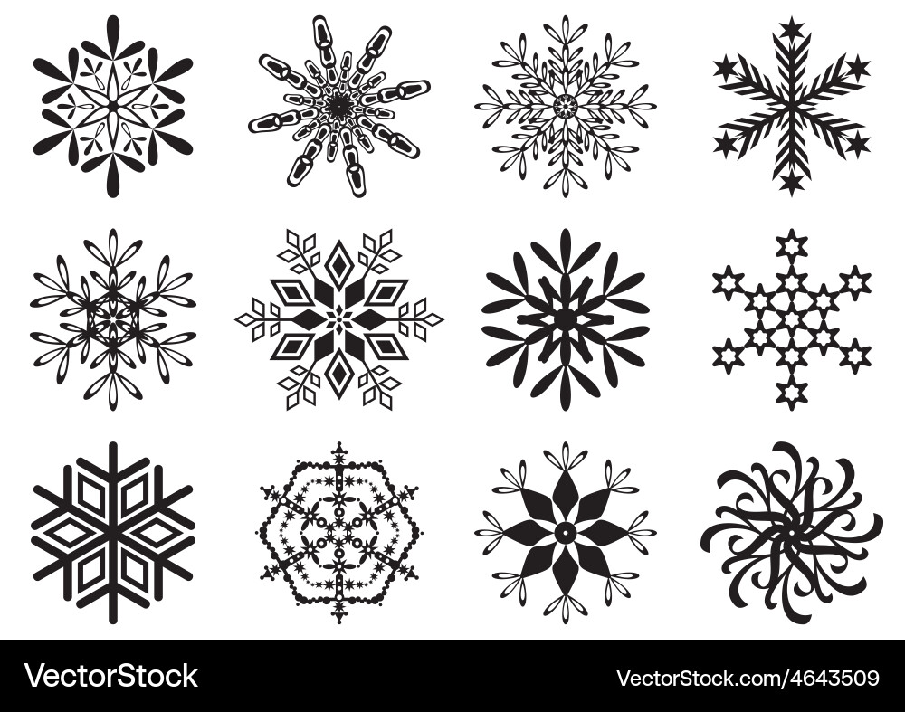 Snowflakes vector image