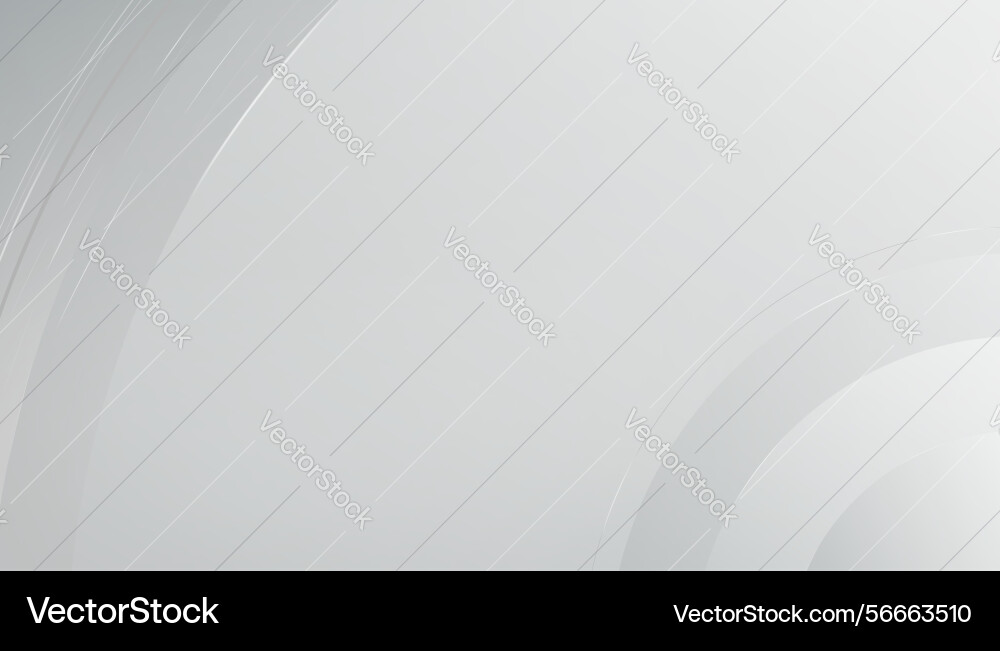Abstract white background with lines curve vector image