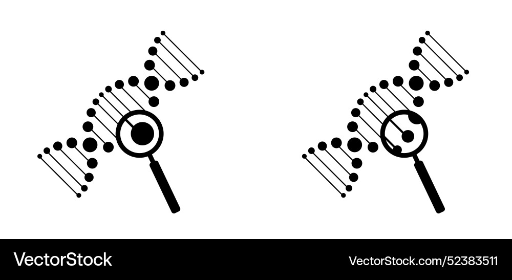 Dna with magnifying glass string double helix Dna with magnifying glass string double helix vector image