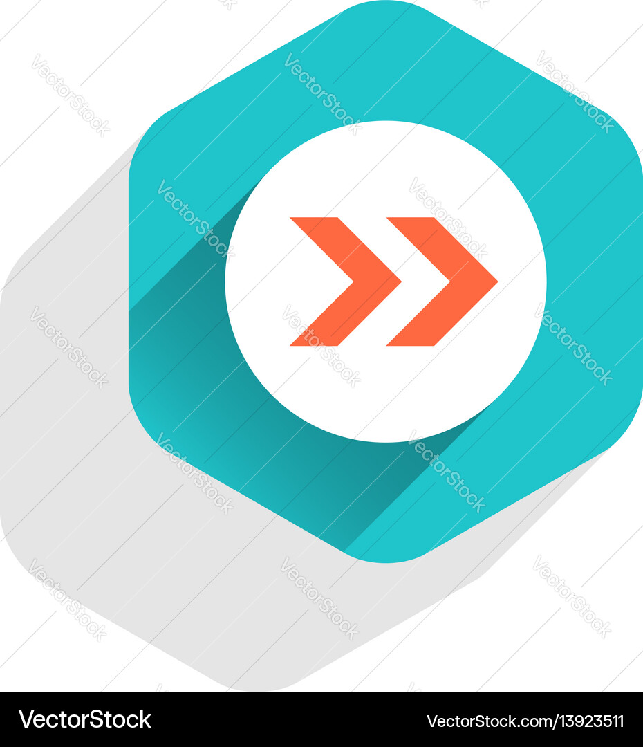 Flat arrow sign round icon hexagon button Flat arrow sign round icon hexagon button vector image