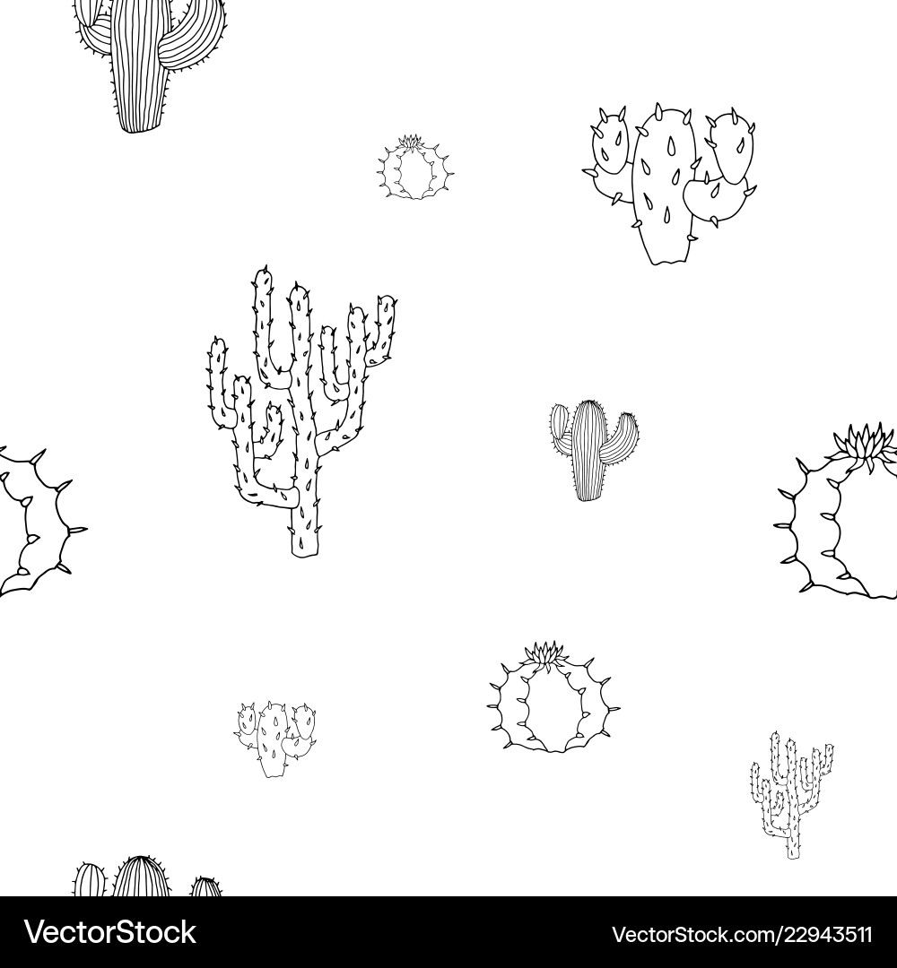 Seamless pattern with cactuses isolated vector image