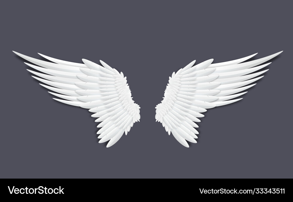 Feather Angel Wings Feather Angel Wings