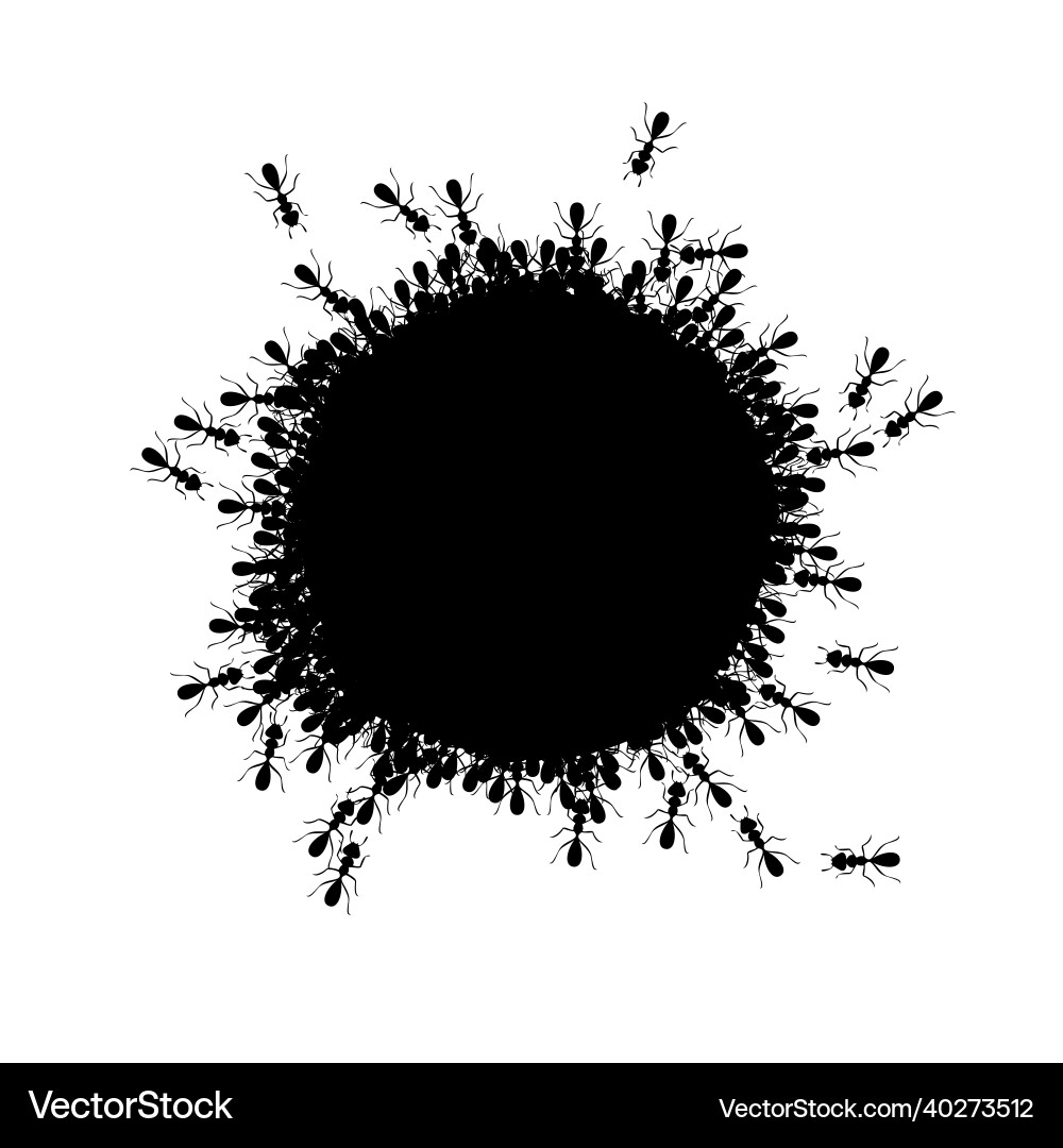 Ants circle border forming round shape Vector Image