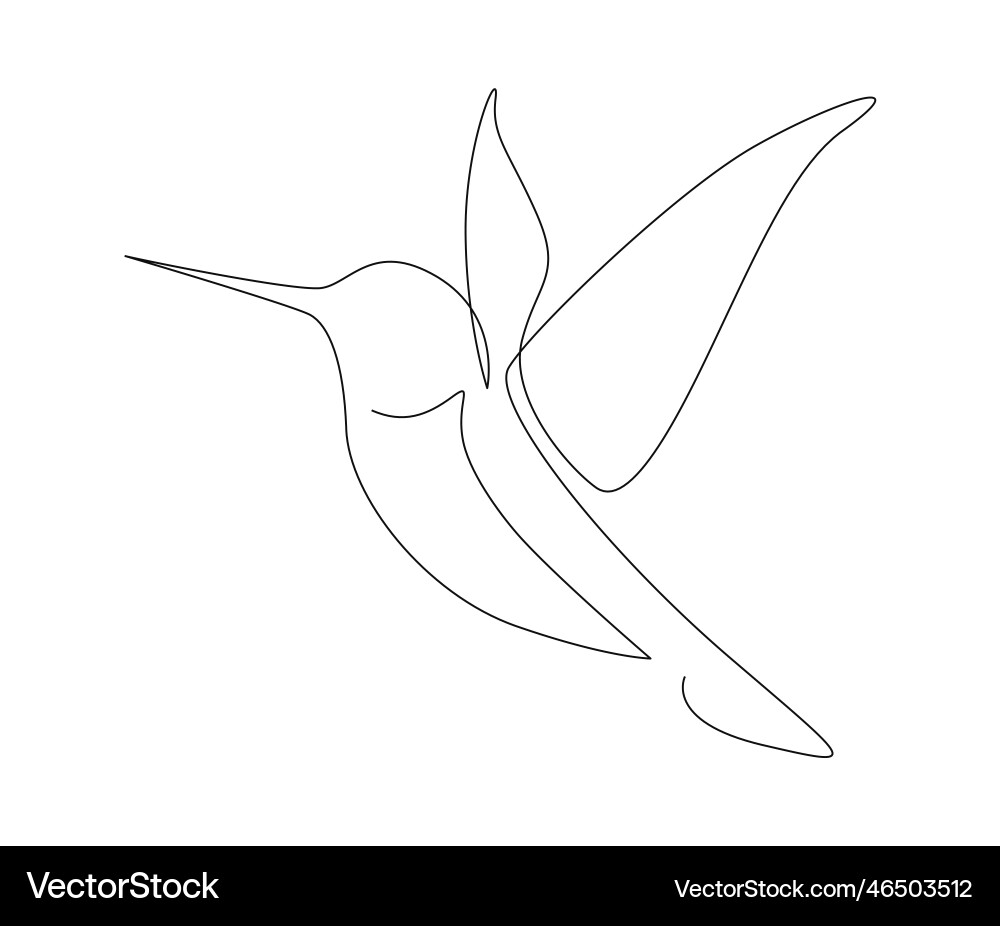 Continuous one line drawing of collibri humming Continuous one line drawing of collibri humming vector image