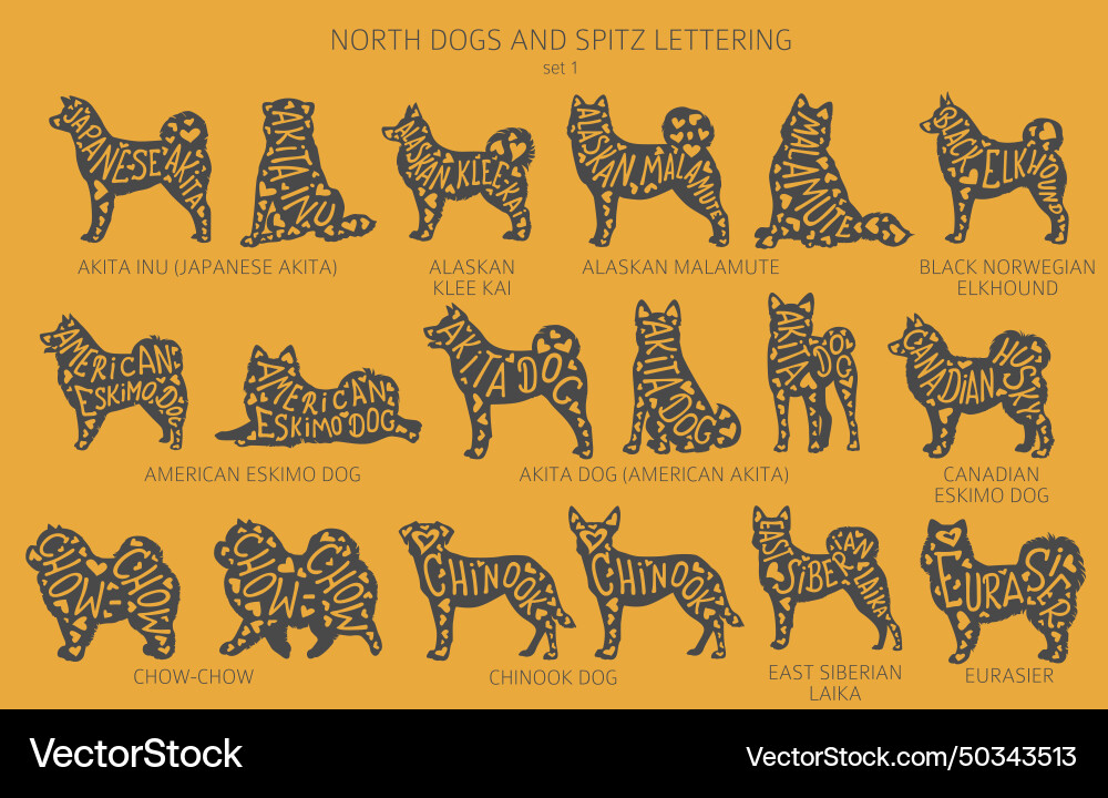 Dog breeds silhouettes with lettering simple Vector Image