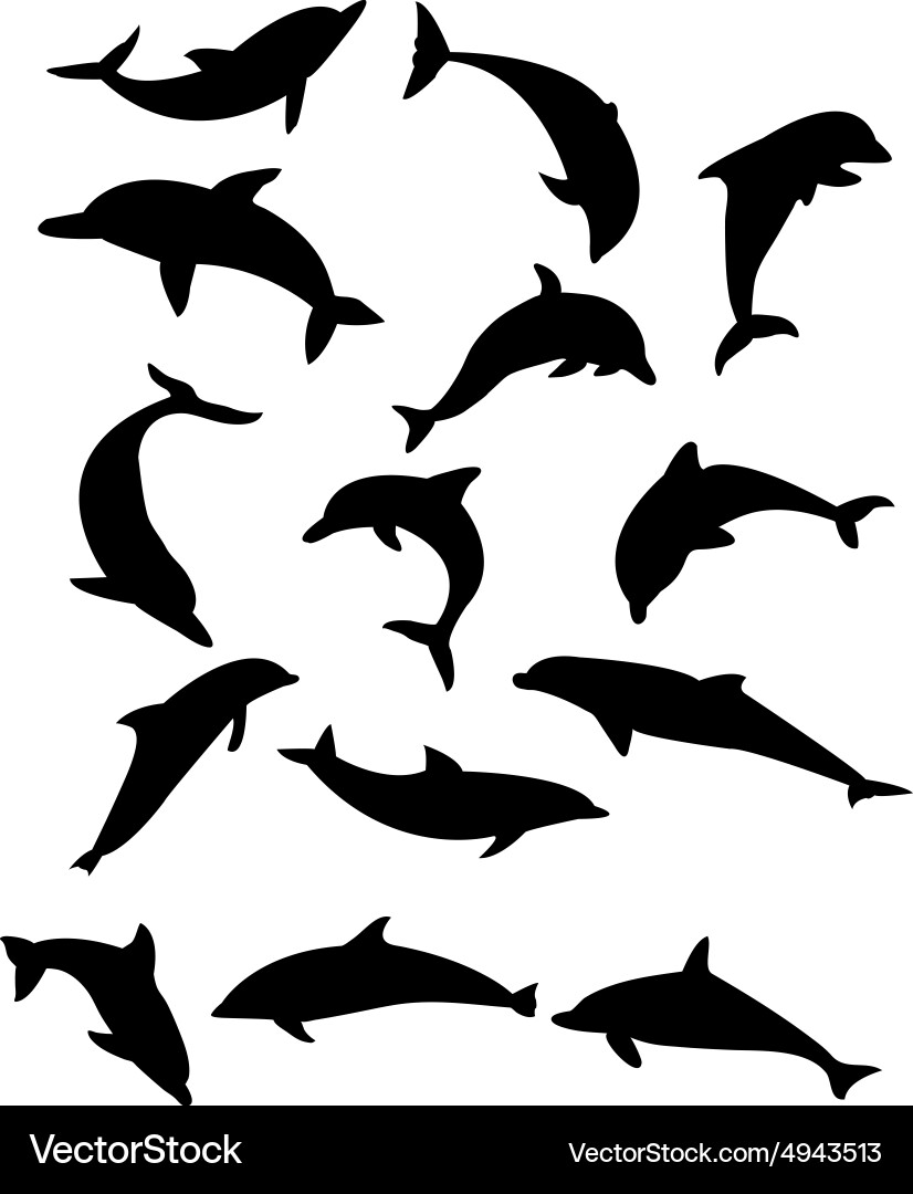 Dolphin Silhouettes vector image