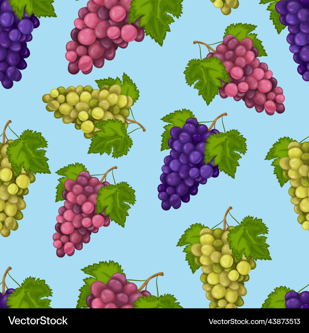 Grape seamless pattern with the image of green Grape seamless pattern with the image of green vector image