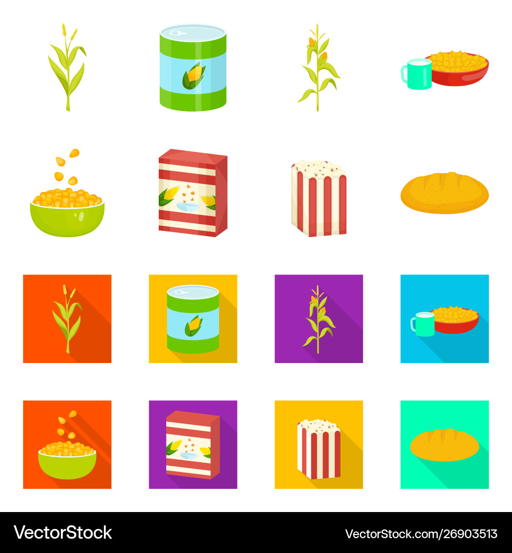 Isolated object cornfield and vegetable symbol Isolated object cornfield and vegetable symbol vector image