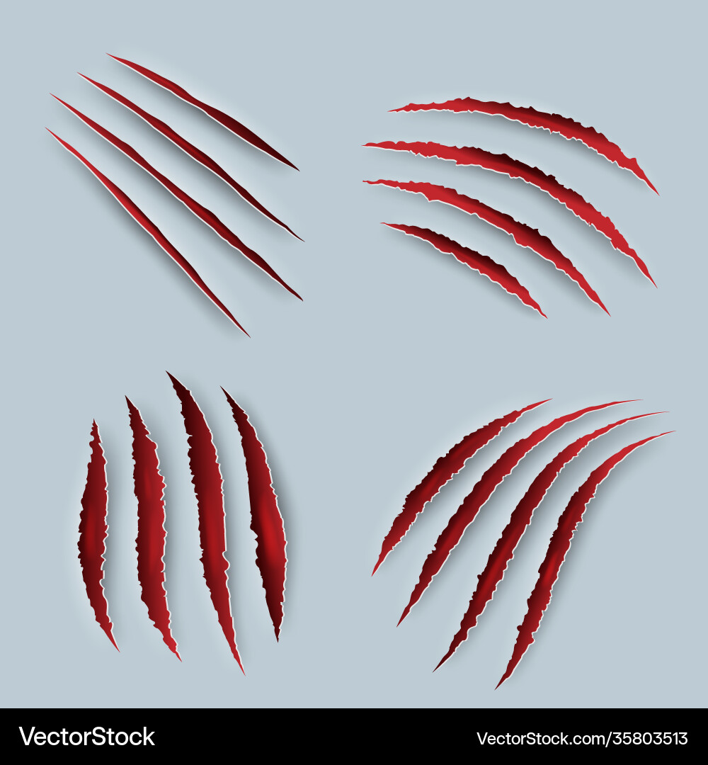 Scary Tiger Claws - Blood & Scratch Marks Vector Image