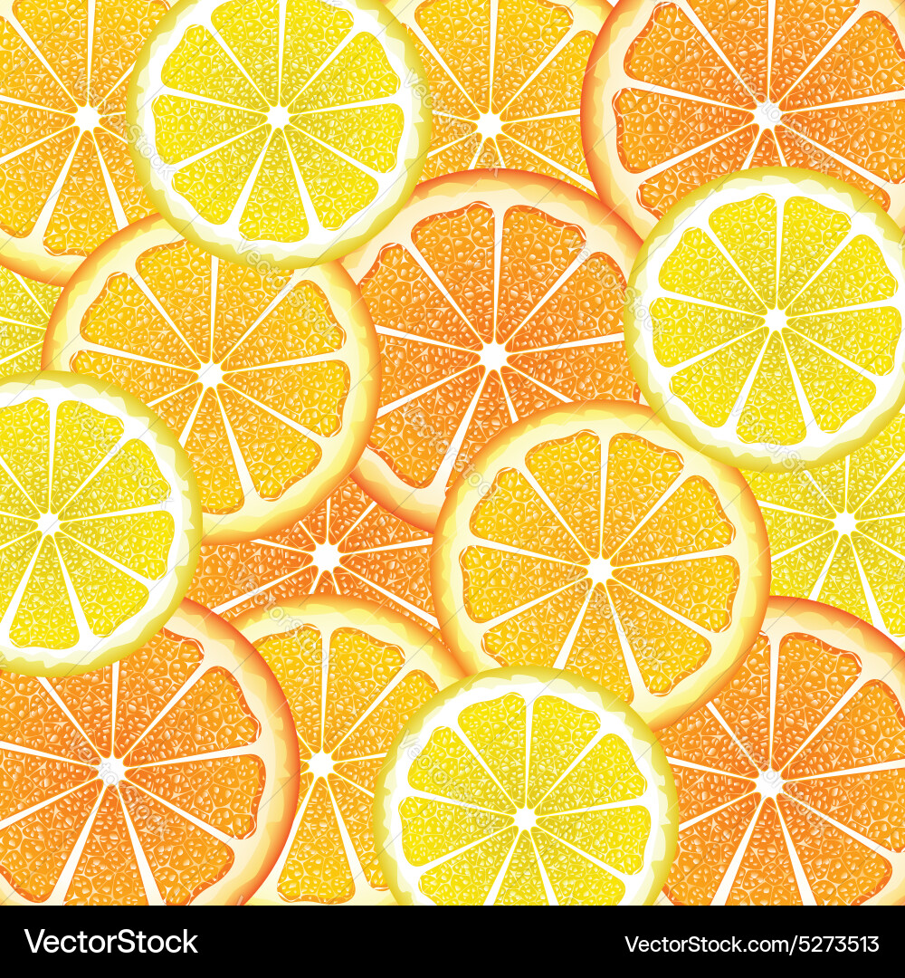 Various citrus slices6 Vector Image