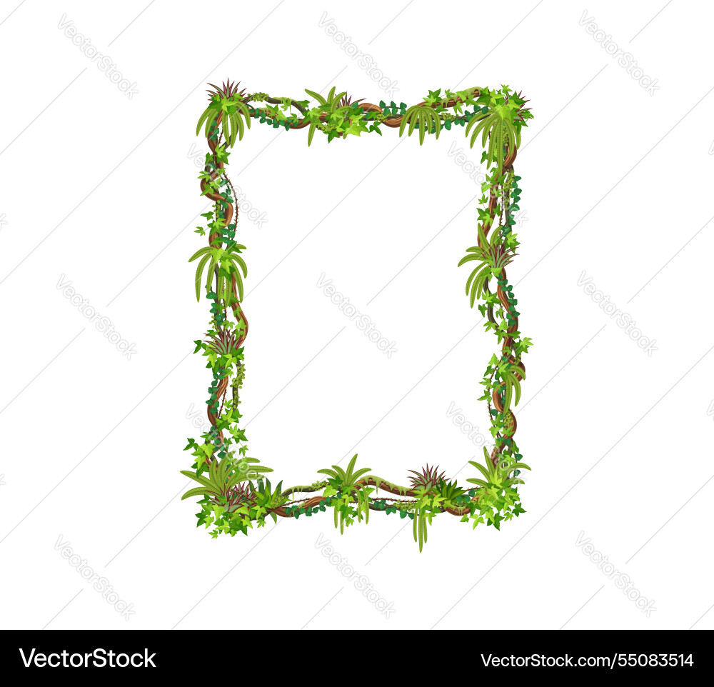 Jungle liana frame of tropical ivy or vine leaves Jungle liana frame of tropical ivy or vine leaves vector image