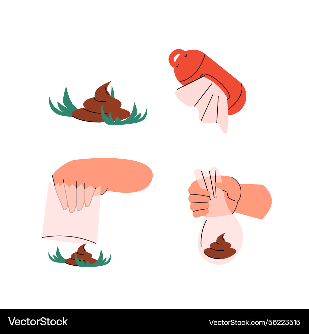 Flat showing the proper steps Vector Image