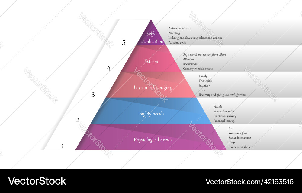Maslows hierarchy of needs vector image