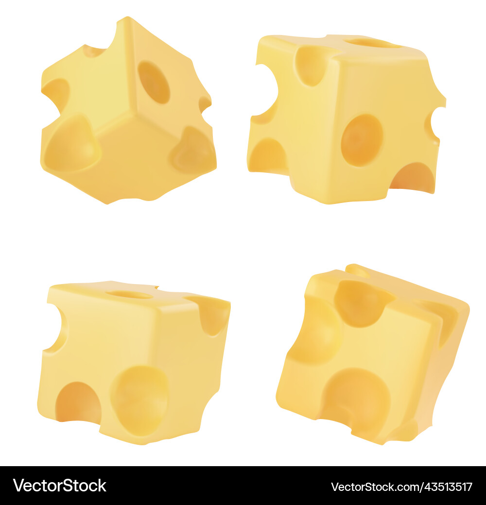 A set of cheesy simple stable and neat cheese vector image