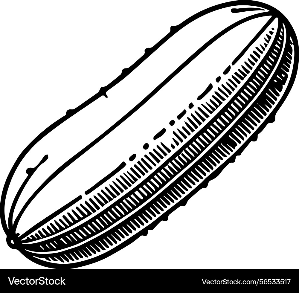 Simple icon of a cucumber logo design Simple icon of a cucumber logo design Vector Image