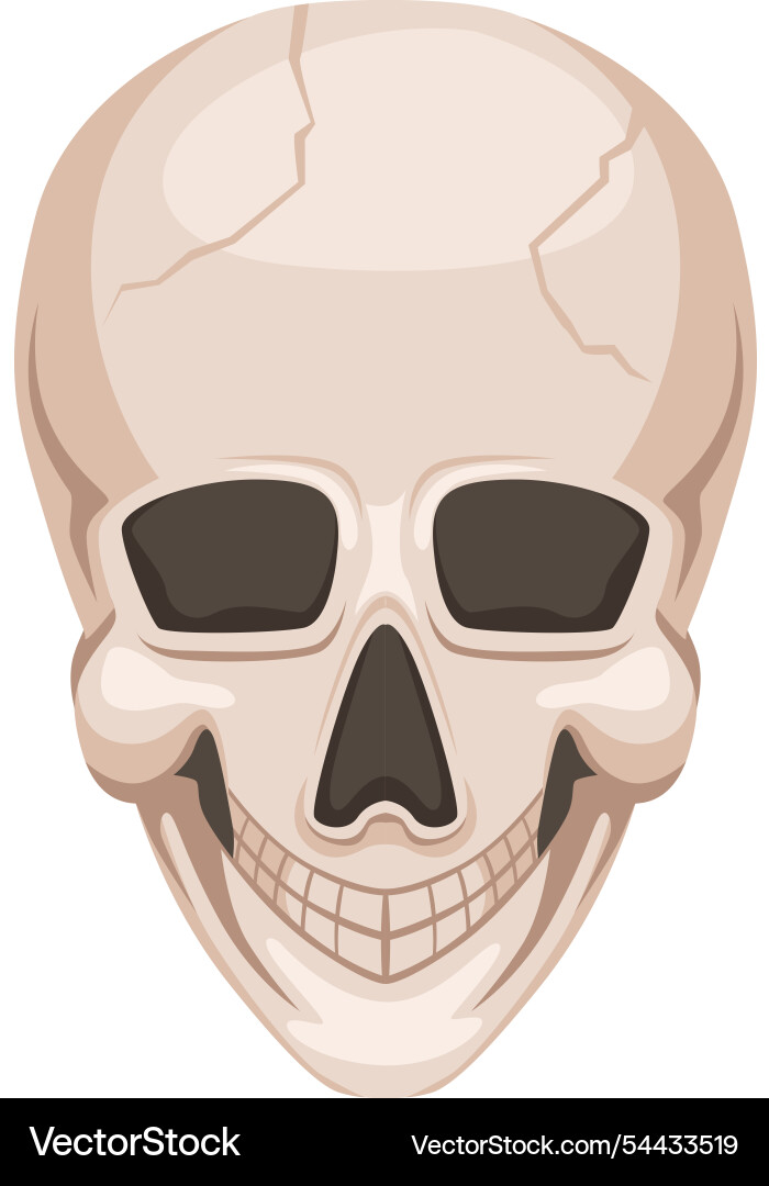 A cartoon skull with smile on its face A cartoon skull with smile on its face Vector Image