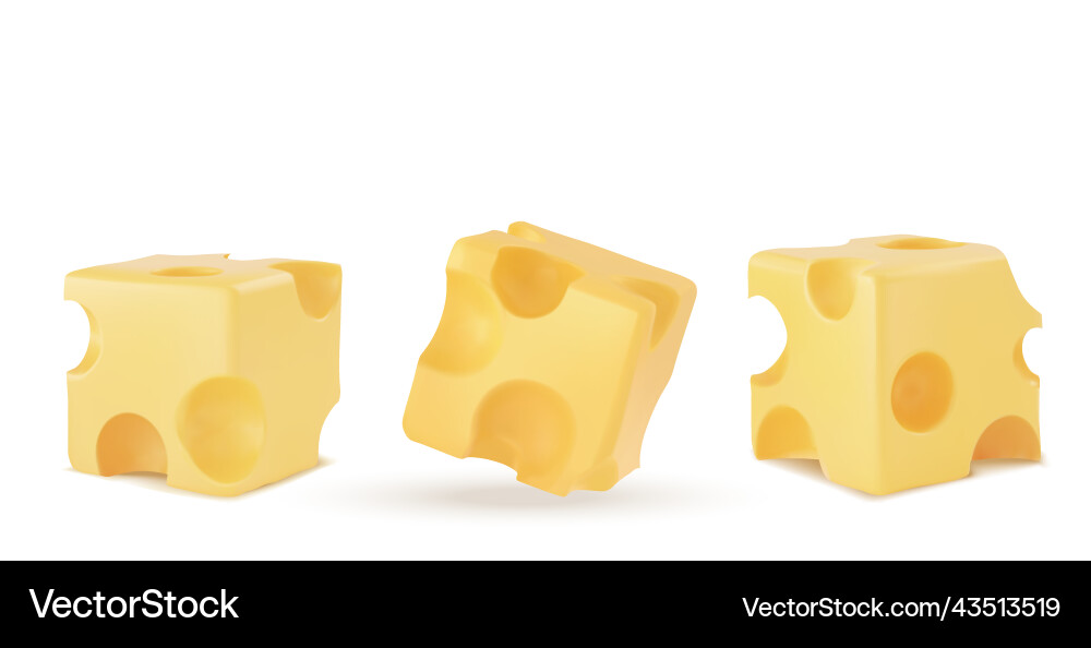 A set of cheesy simple stable and neat cheese vector image