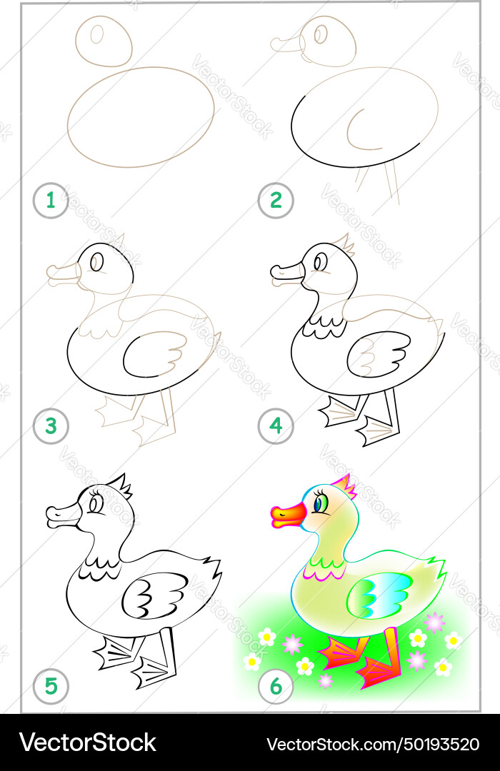 Page shows how to learn step by draw Page shows how to learn step by draw vector image