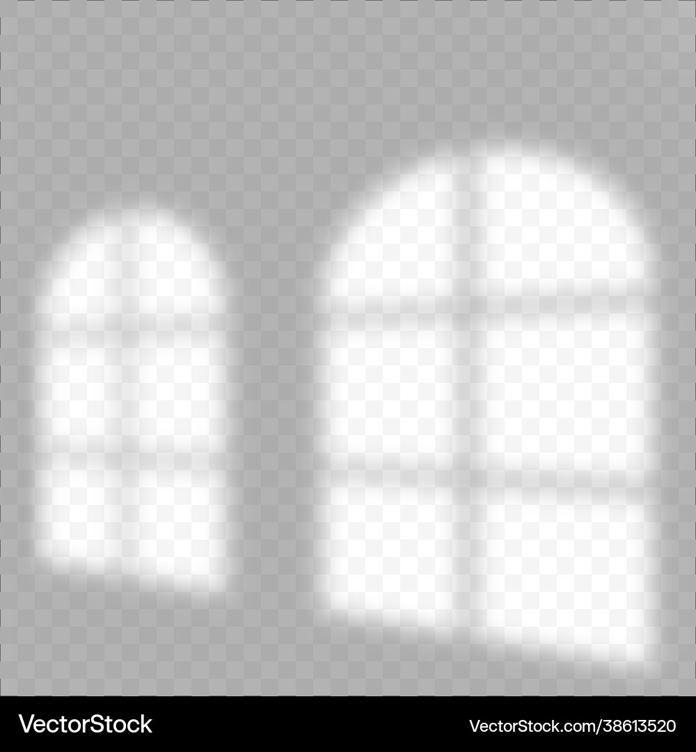 Shadow overlay effect soft light and shadows from vector image