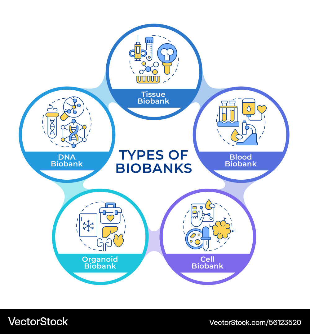 Types of biobanks infographic circles flowchart Types of biobanks infographic circles flowchart vector image
