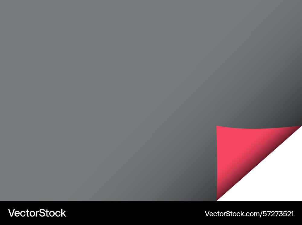 Page curl curled color paper blank sheet Vector Image