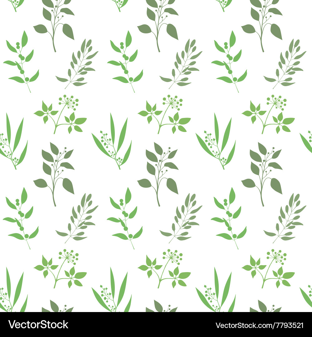 Seamless plant background endless pattern vector image