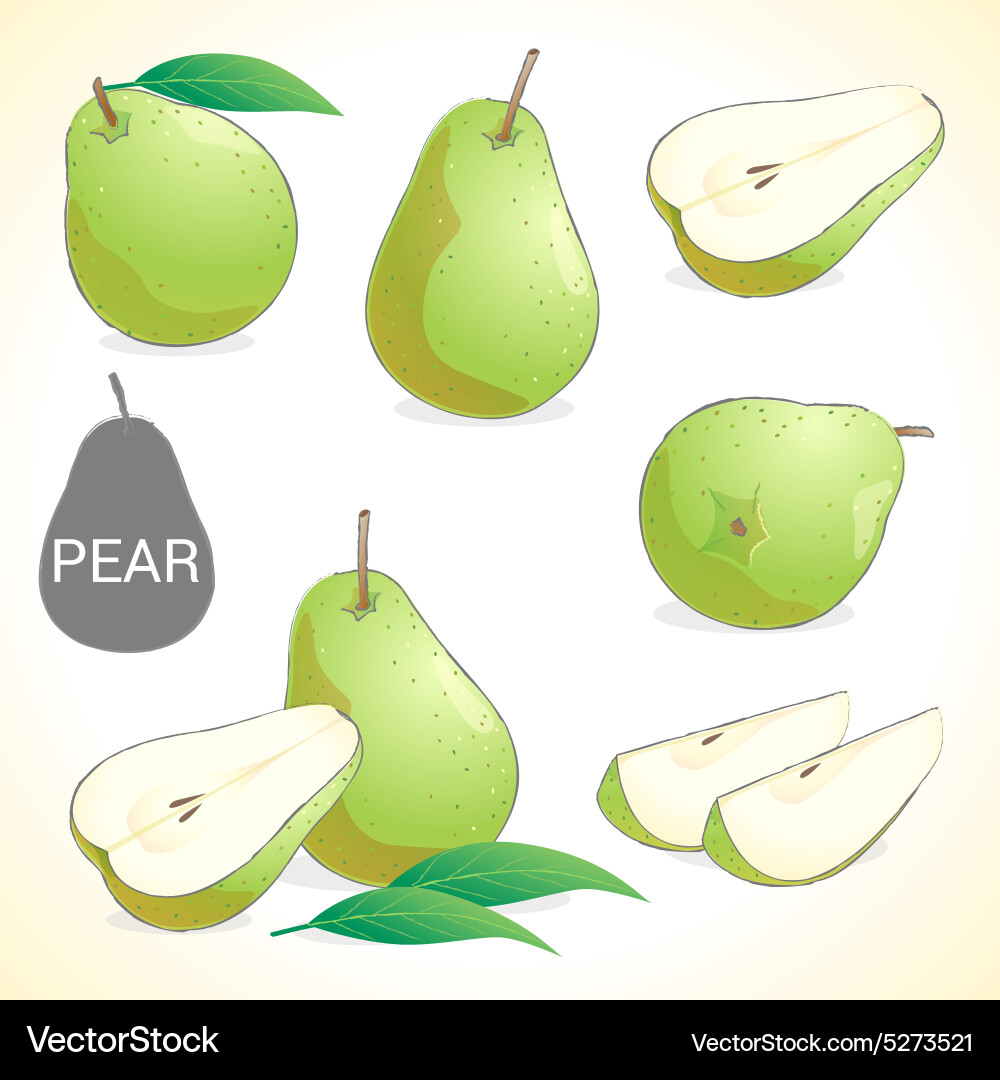 Set of pear fruit in various styles Vector Image