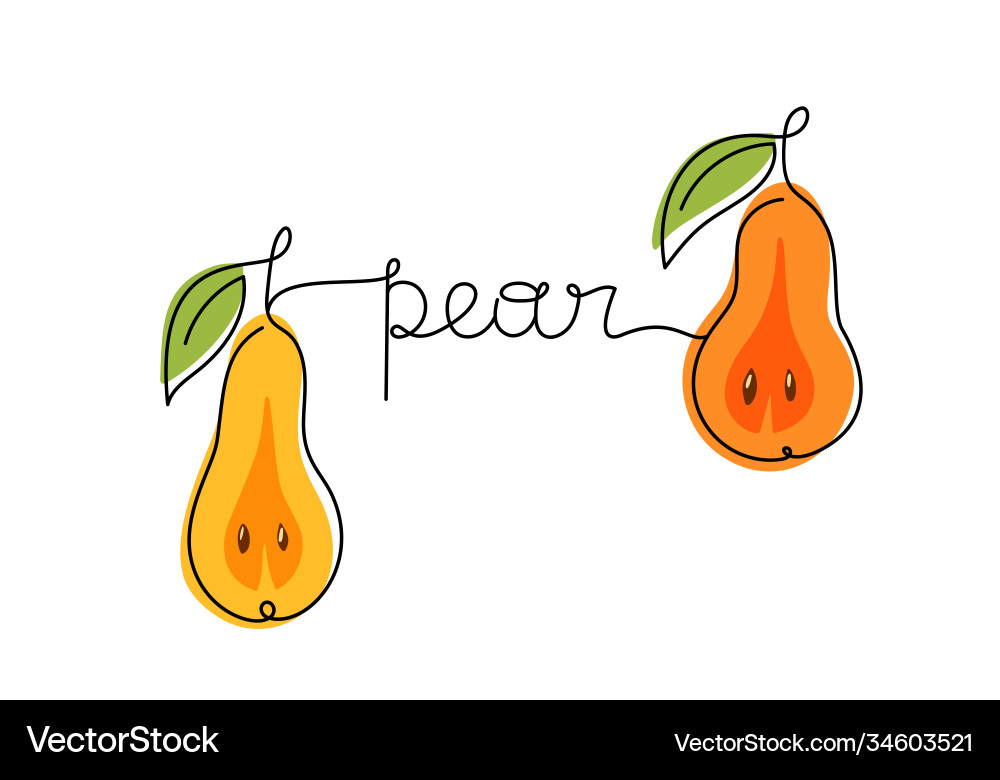 Two outlines pears linked text color vector image