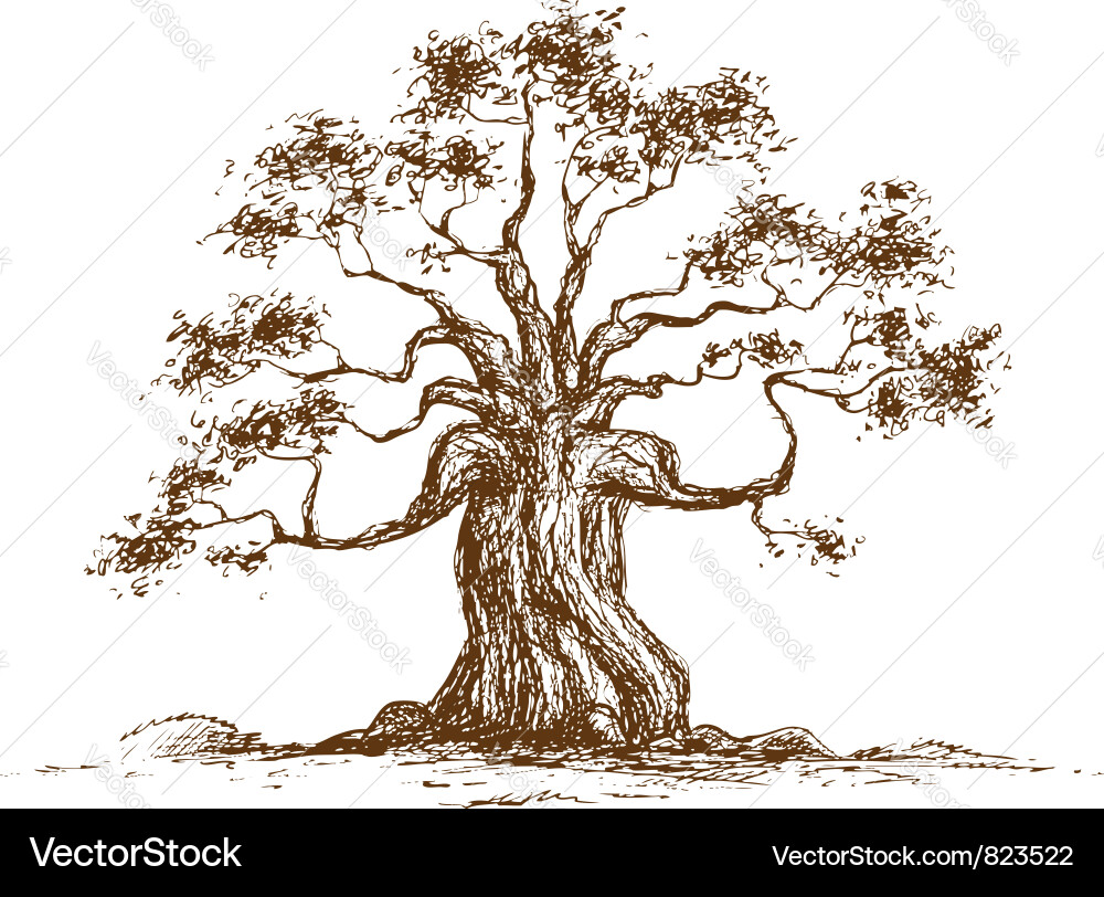 Drawing a tree