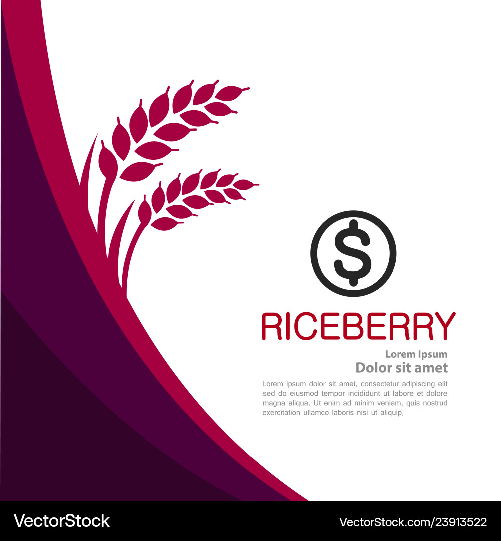 Rice berry great quality design concept Vector Image