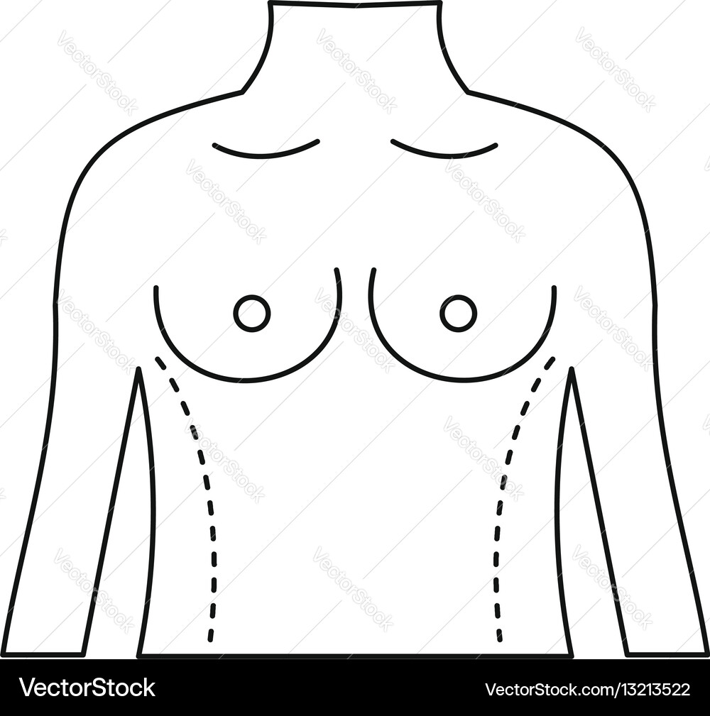 Torso marked with lines for correction icon vector image