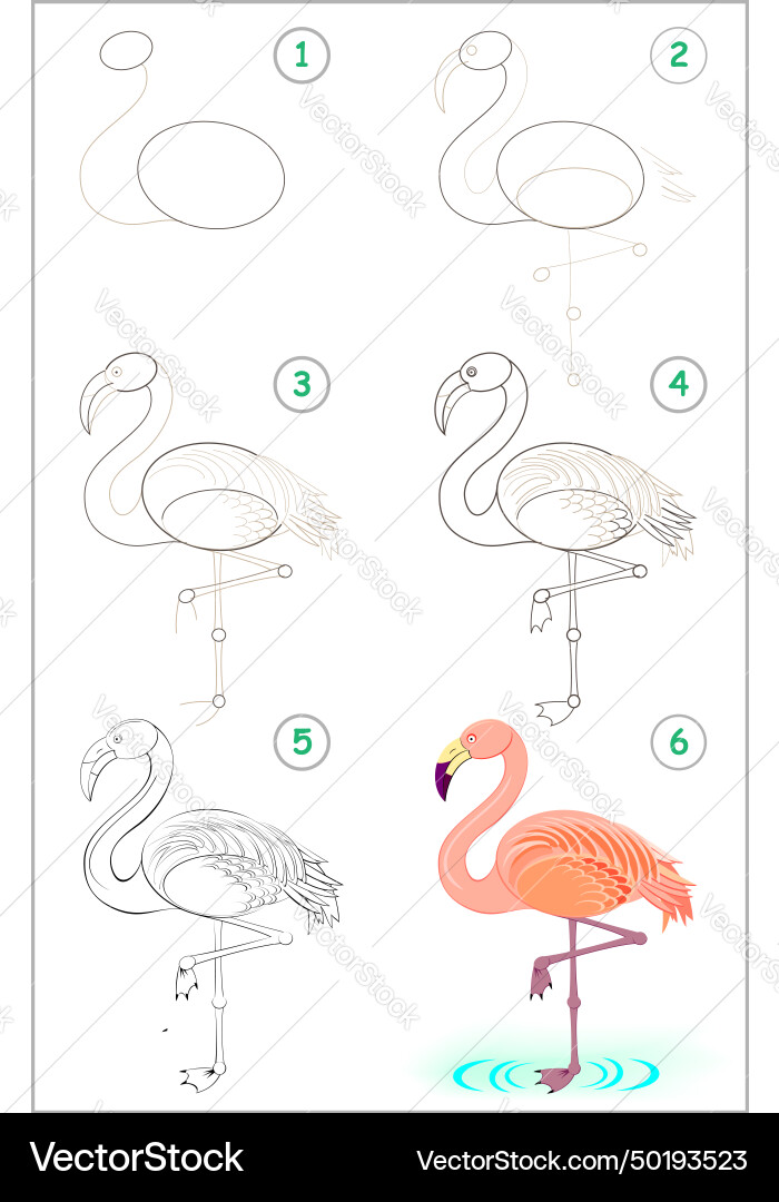 Page shows how to learn step by draw Page shows how to learn step by draw vector image