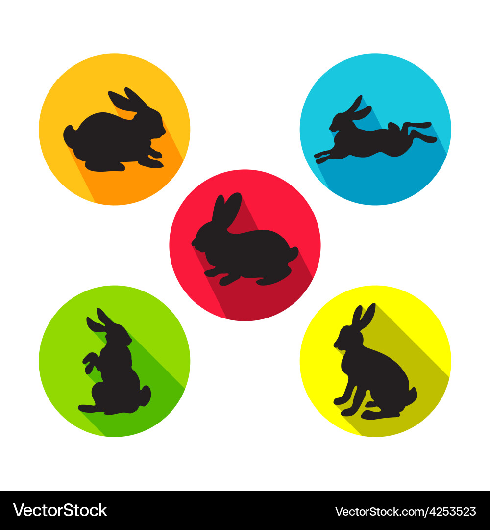 Set of rabbits in different positions vector image