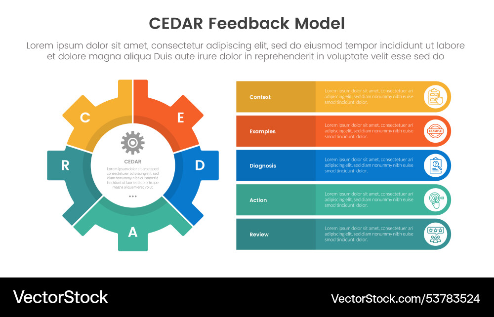 Cedar Feedback Modell infographische Vorlage Banner Cedar Feedback Modell infographische Vorlage Banner vektorbild