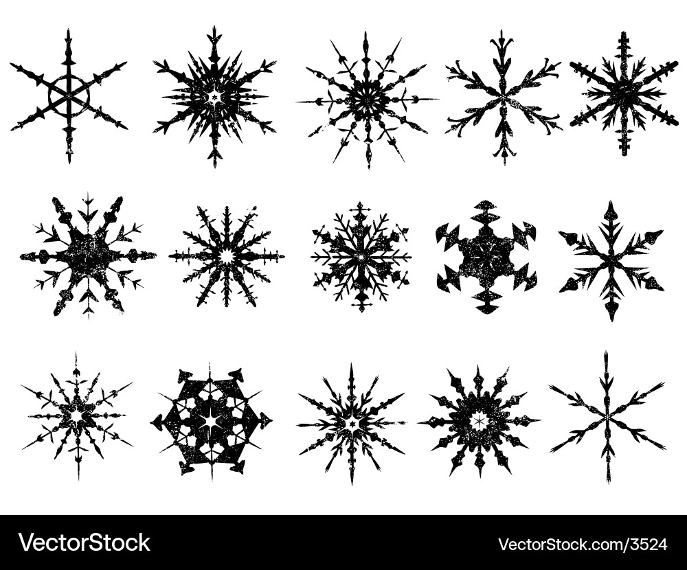 Detailed Snowflake Collection Vector Image
