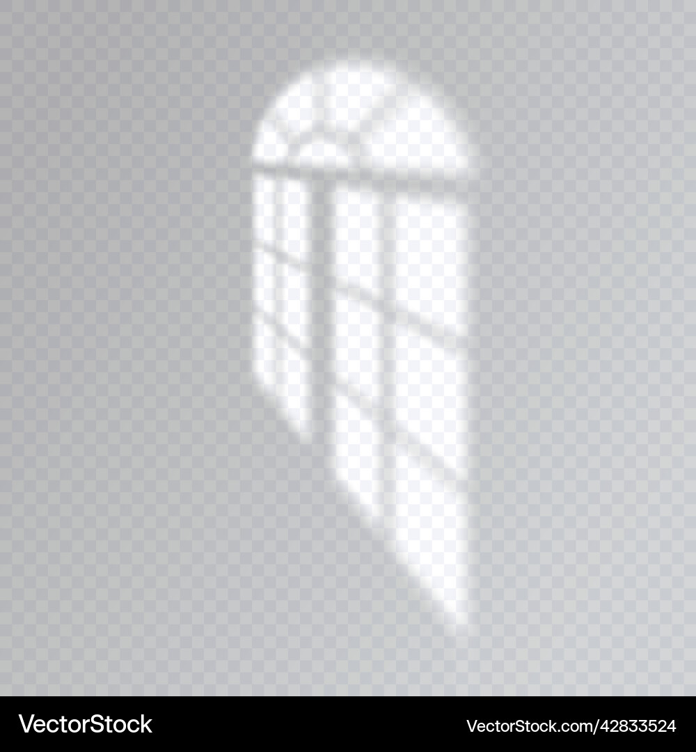 Shadow overlay effect soft light and shadows vector image